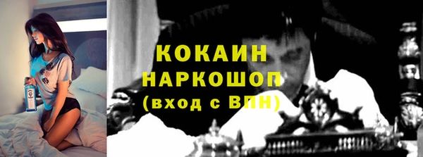 стаф Нефтекумск
